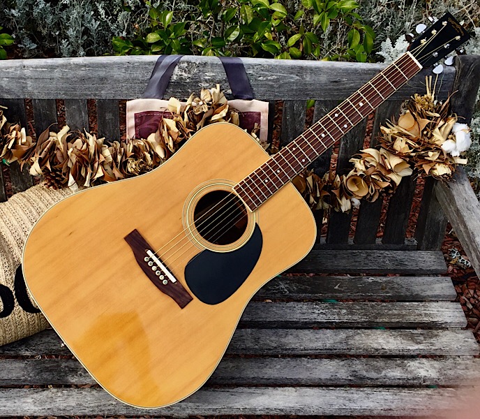 Joe's Vintage Guitars.Com
