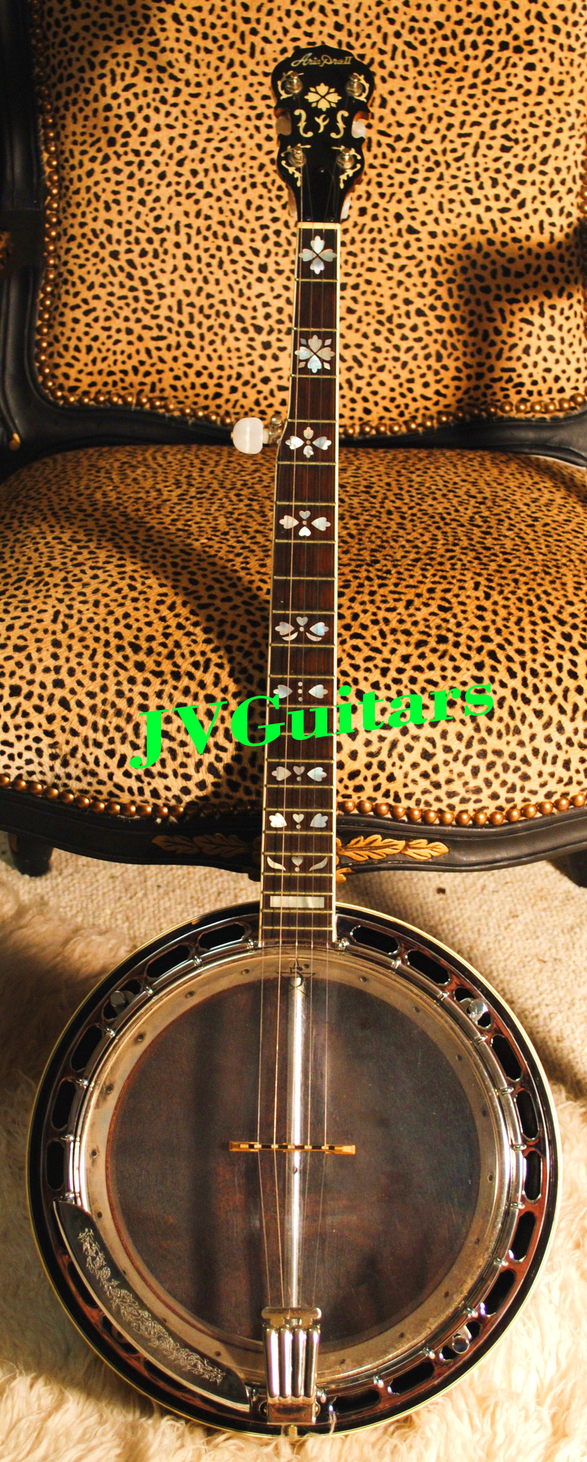 aria pro banjo