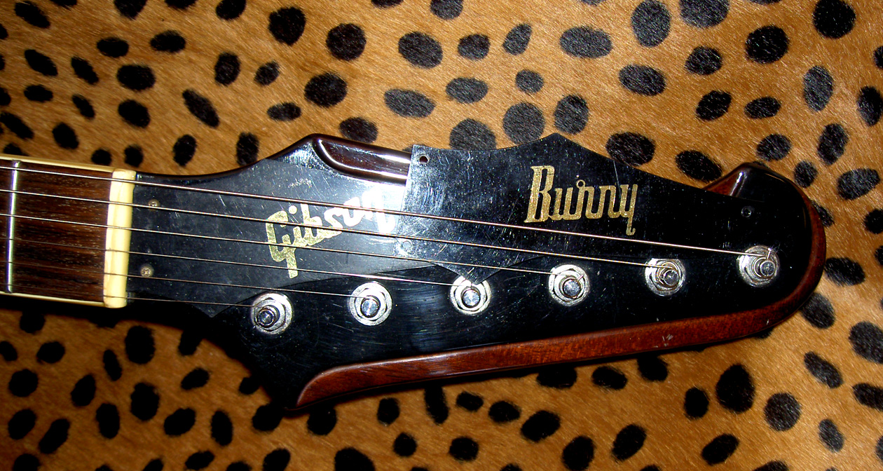 Burny firebird deals
